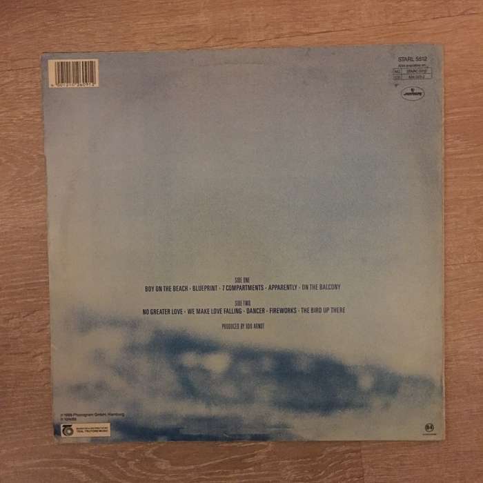 Rainbirds - Vinyl LP Record - Opened  - Very-Good+ Quality (VG+)