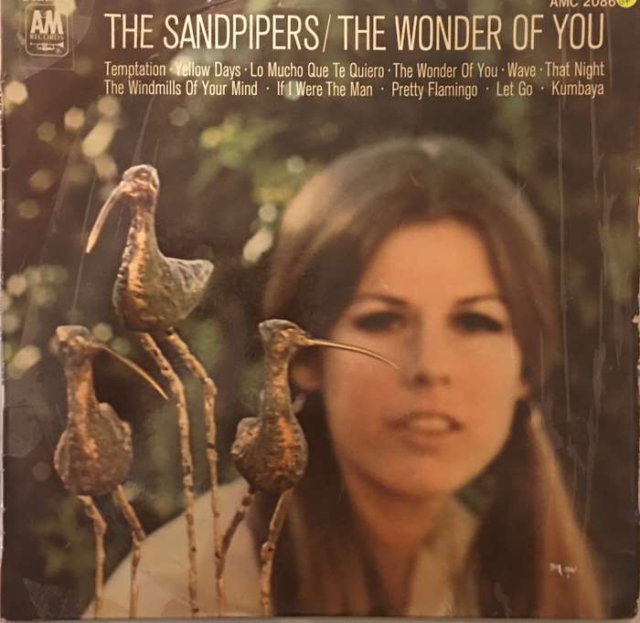 Sandpipers - The Wonder of You - Vinyl LP Record - Opened  - Good Quality (G)