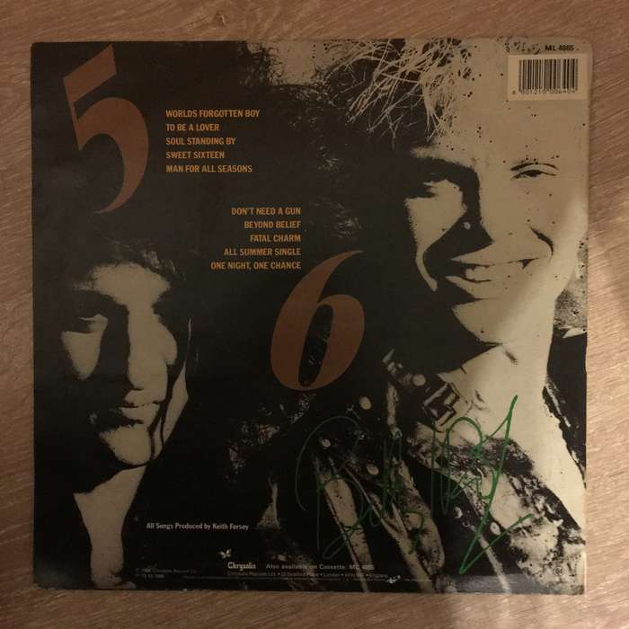 Billy Idol - Whiplash Smile -  Vinyl LP Record (VG+)