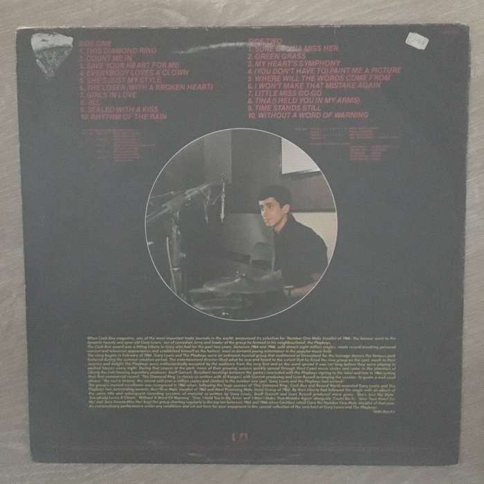 Gary Lewis & The Playboys - 20 Golden Greats - Vinyl LP Record - Opened  - Very-Good Quality (VG)