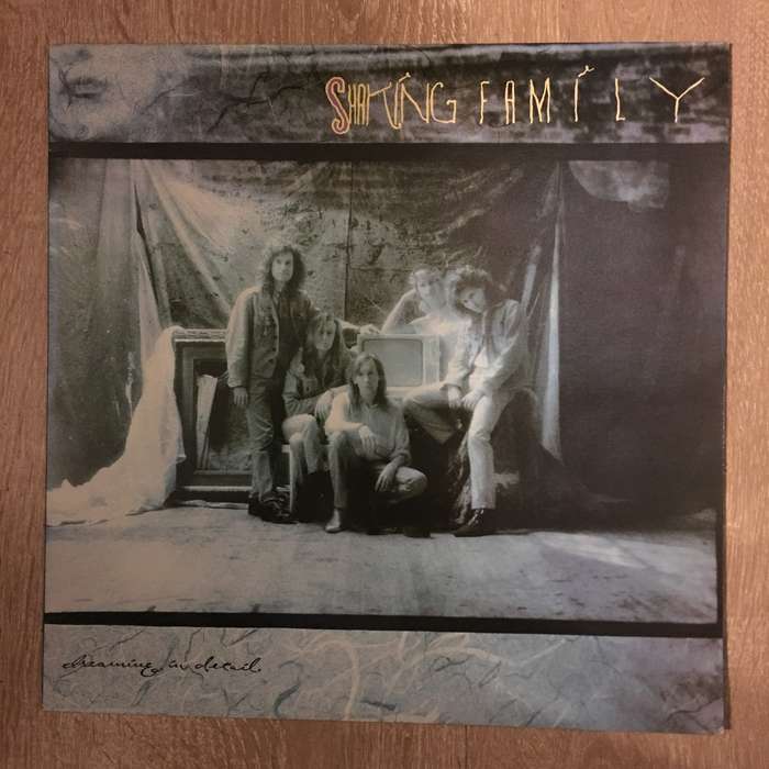 Shaking Family - Dreaming in Detail -  Vinyl LP Record (VG+)