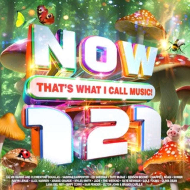 Various Artists - Now Thats What I Call Music! 121 (CD)