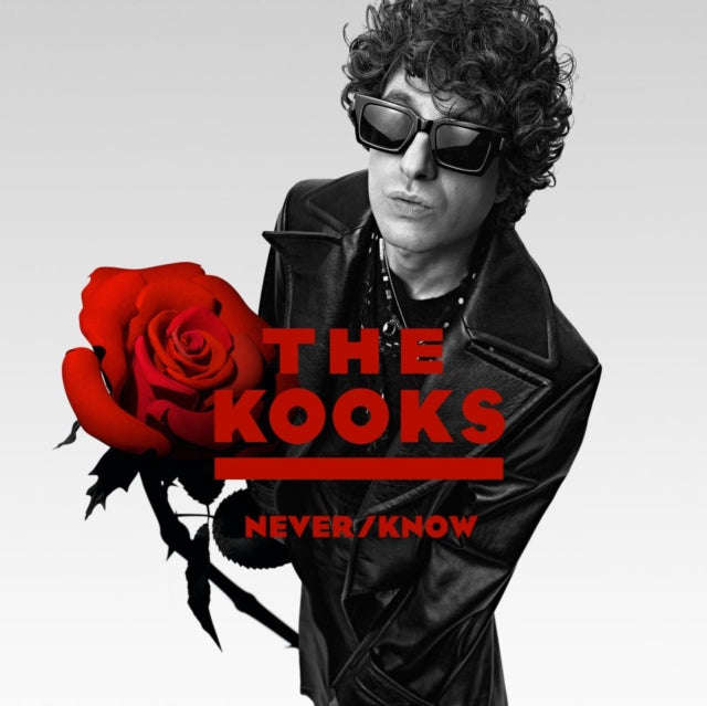 Kooks - Never/Know (Vinyl)