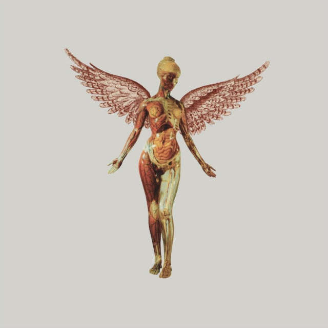 Nirvana - In Utero 5 CD Set (CD)