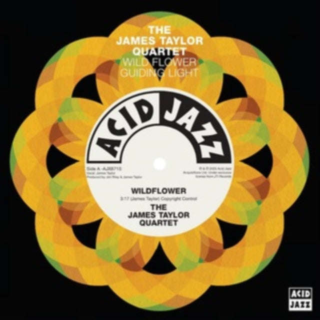 James Taylor Quartet - Wildflower / Guiding Light (Vinyl Single)