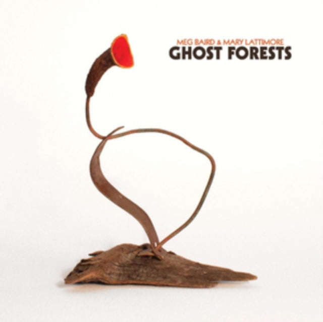 Meg Baird & Mary Lattimore - Ghost Forests (CD)