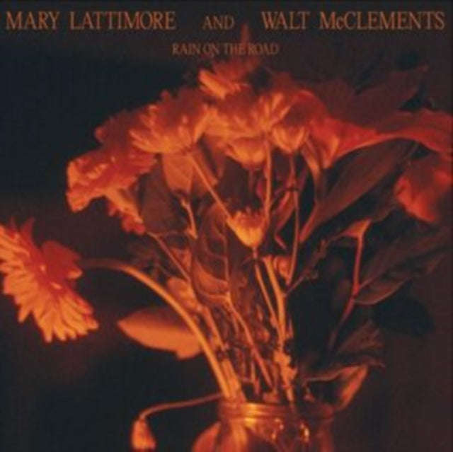Mary Lattimore & Walt Mcclements - Rain On The Road (Vinyl)