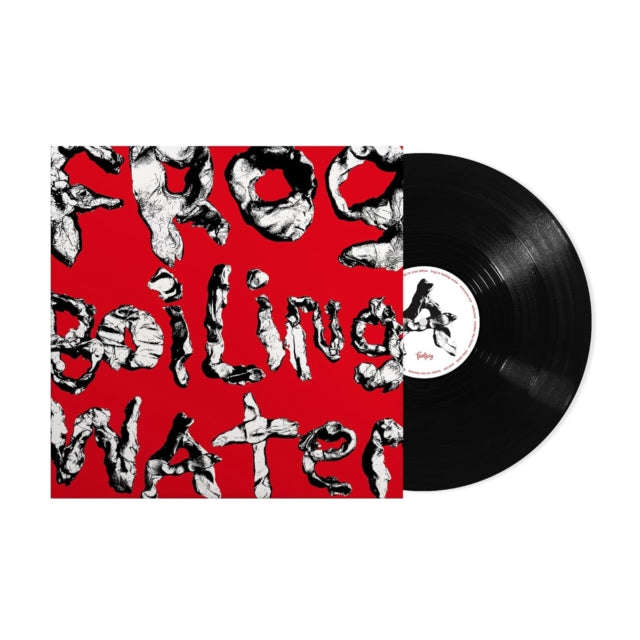 Diiv - Frog In Boiling Water (Vinyl)