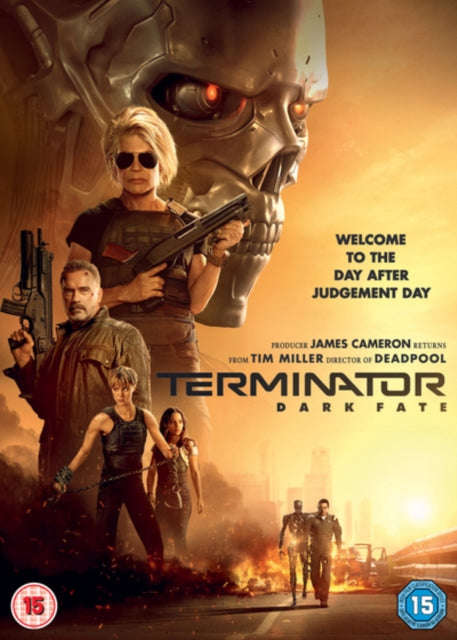 Terminator Dark Fate (DVD)