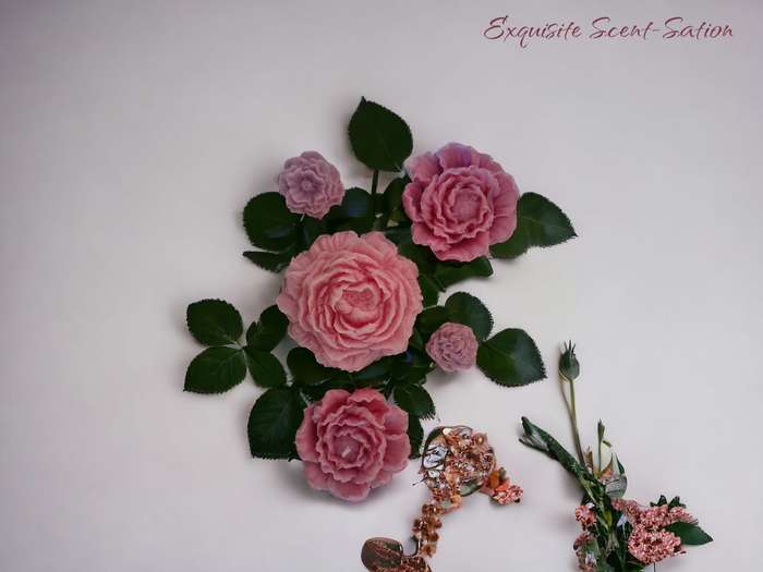 Large Scented Rose
