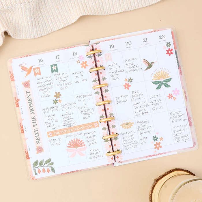 2025 Desert Rose Happy Planner  Mini Vertical Layout  12 Months