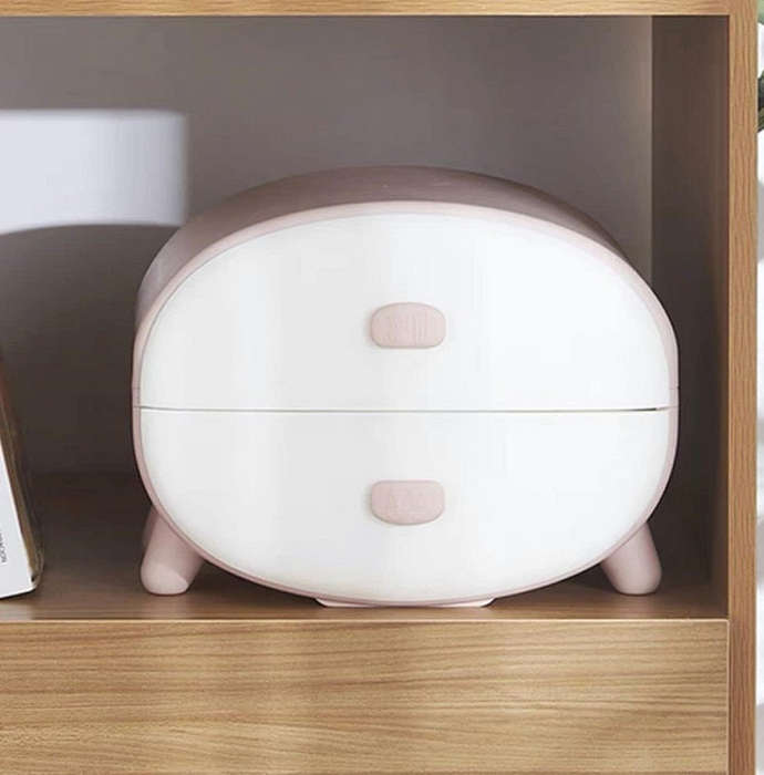Plastic 2 Drawer Storage Box For Small Items