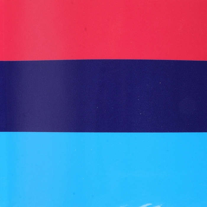 5m Car Plastic Wrap Sticker Decal Film, Strip Line Style, French Flag