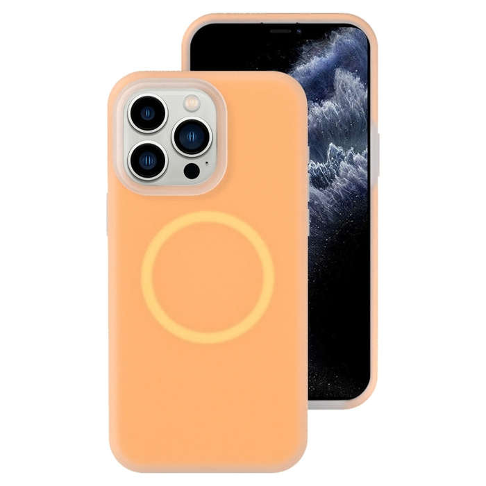 Jelly Liquid Silicone MagSafe Magnetic Phone Case, For iPhone 11 Pro