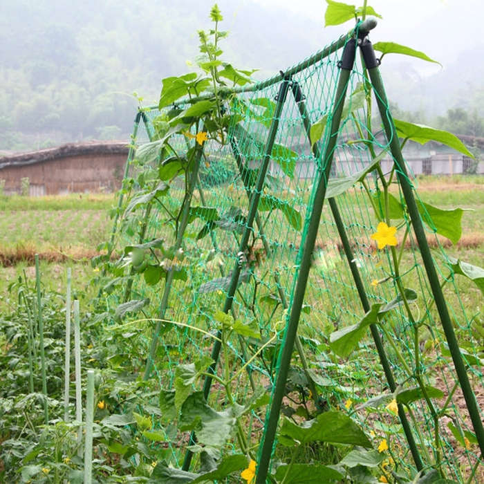 Plants Climb Rattan Frame Adornment Flower Rack Flowers Plants Craft Hanging Decor Gardening Net,...