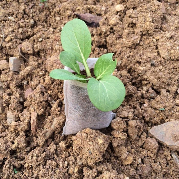 100pcs/Pack Nursery Pots Seedling-Raising Bags Environmental Non-woven Nursery Bags, 1000 PCS Nur...