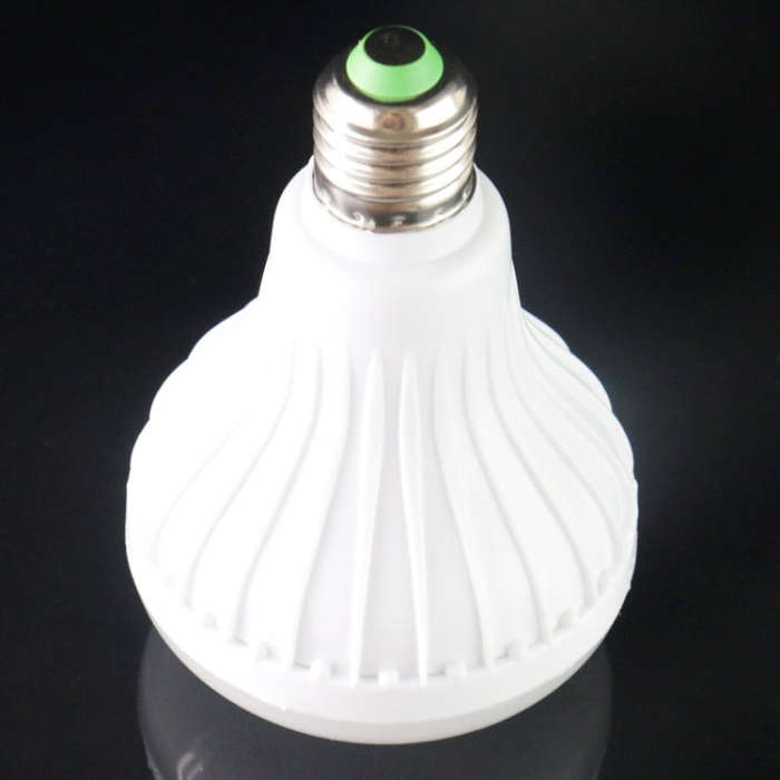 Bluetooth, Support WiFi Phone Control, Adjustable Light, with Remote Control