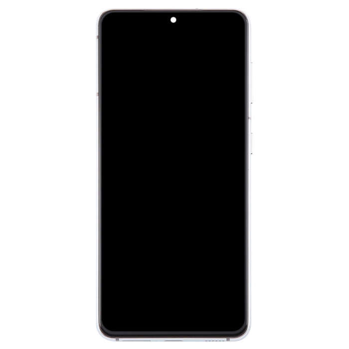 For Samsung Galaxy S21 5G SM-G991 TFT LCD Screen Digitizer Full Assembly with Frame