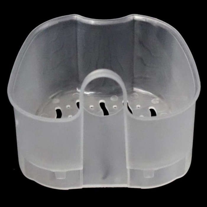Cleaning Teeth Case Dental False Teeth Storage Box