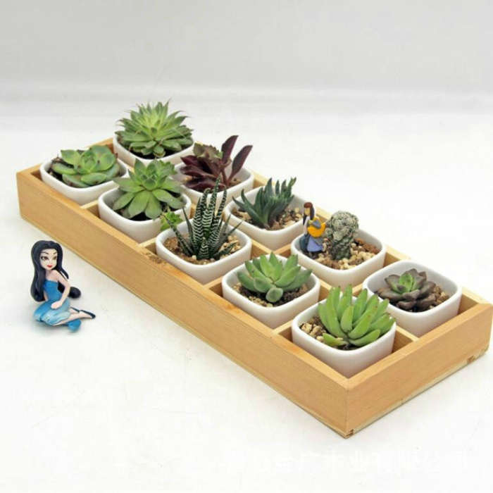 Succulent Wooden Storage Box Landscape Garden Decoration, 3 Cells, 5 Cells, 6 Cells, 10 Cells