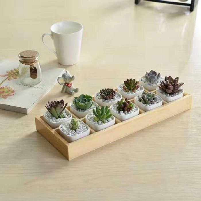 Succulent Wooden Storage Box Landscape Garden Decoration, 3 Cells, 5 Cells, 6 Cells, 10 Cells