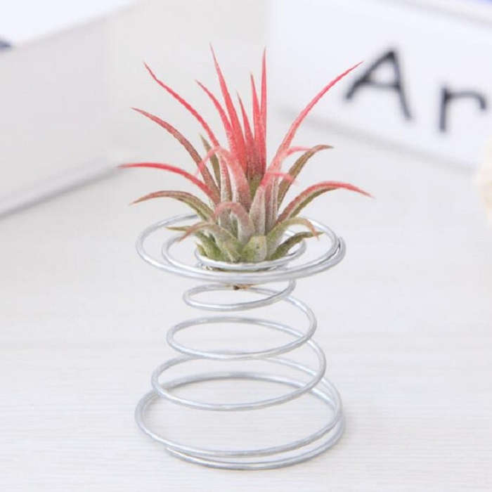 2 PCS Air Aluminum Wire Pineapple Rooting Holder Spring Base, Pineapple Rooting Holder