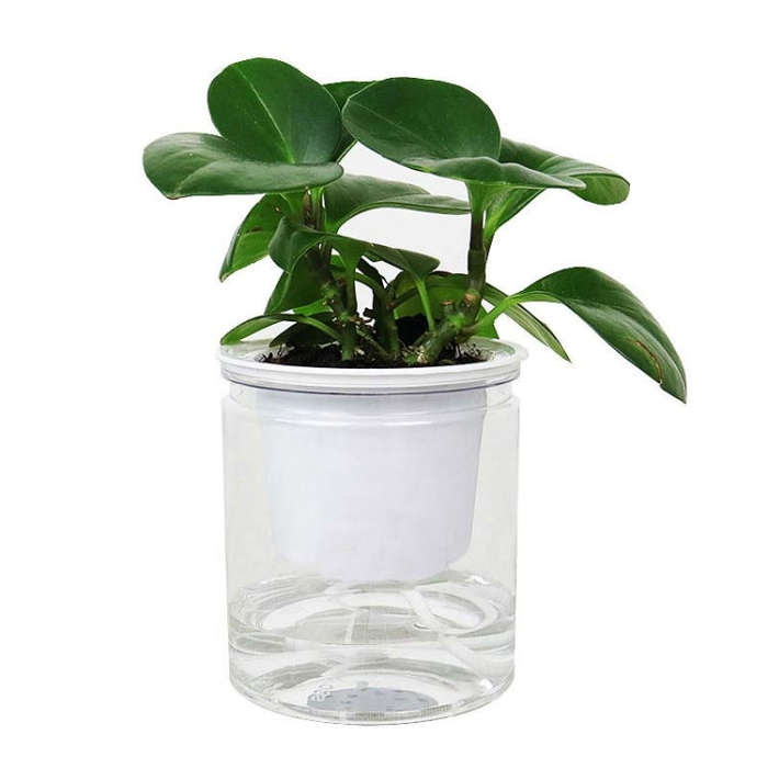 Automatic Water Absorption Hydroponic Pot Succulent Plant Flower Pot, Transparent Without Words, ...