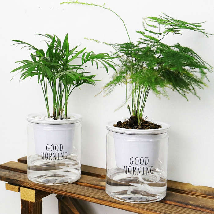 Automatic Water Absorption Hydroponic Pot Succulent Plant Flower Pot, Transparent Without Words, ...