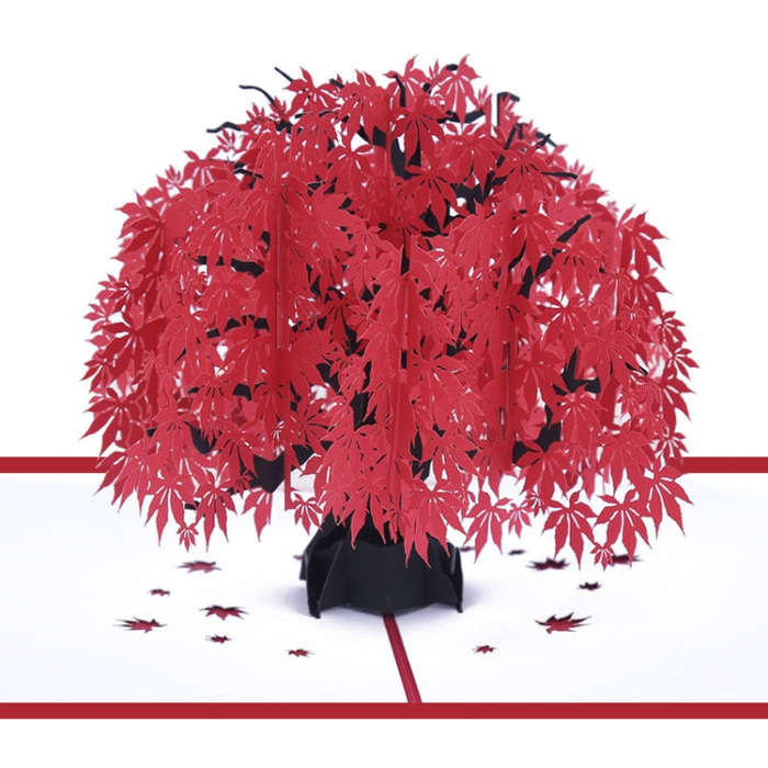 Three-Dimensional Maple Tree Greeting Card Birthday Greeting Card Red Maple Leaf 3d Card, Maple T...