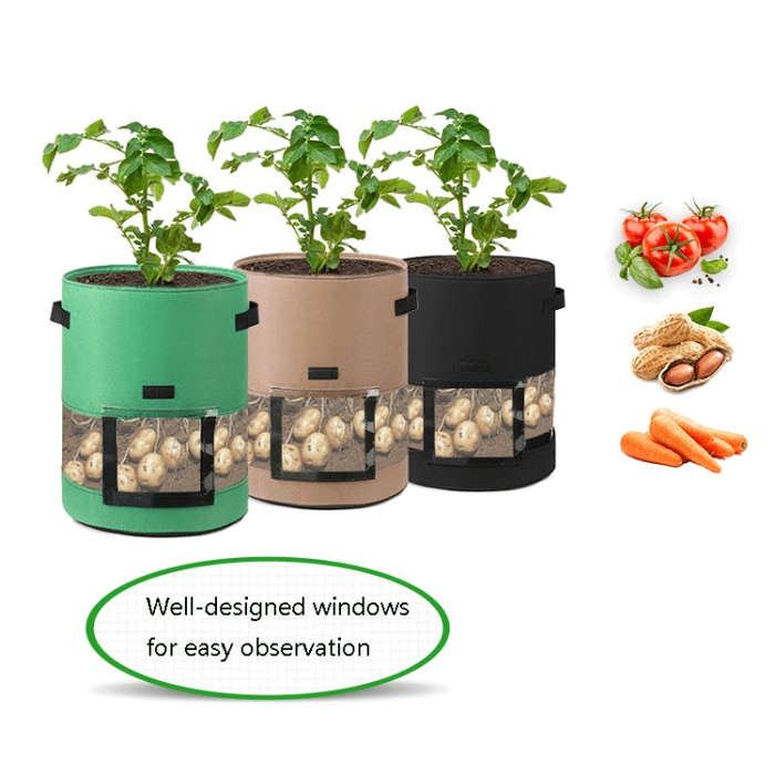 360 Degree Transparent Potato Bag In The Middle Covered Plant Growing Bag, Medium (30x35cm) 26 Li...