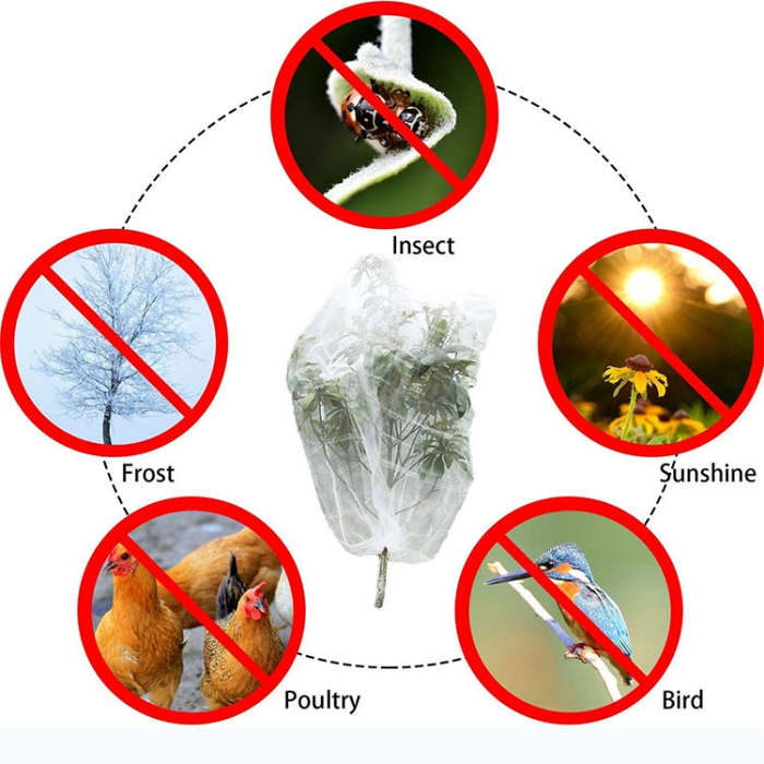 Plant Insect Cover Net With Drawstring Greenhouse Fruit Tree Bird Cover, 1x0.7m, 1x1.2m, 1x1.4m, ...