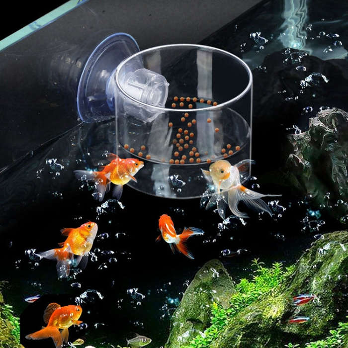 Acrylic Transparent Feeding Ring Fish Tank Feeder Floating Fixed Fish Feeder, Red Bug Cup, Small ...