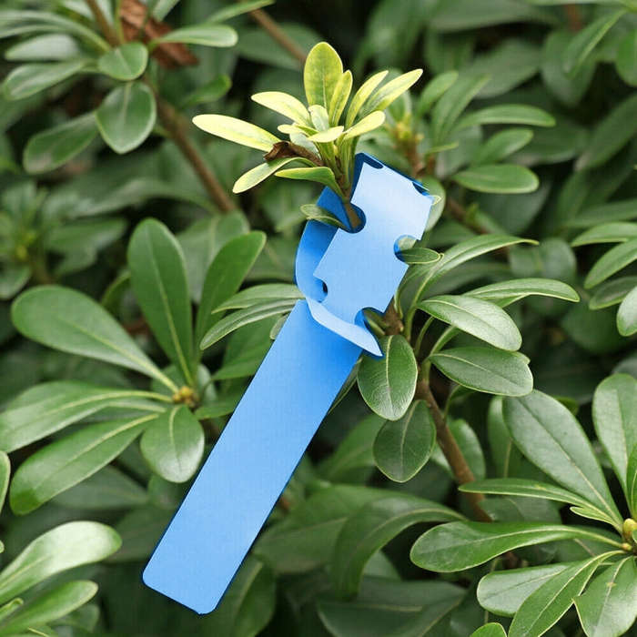 100 PCS Gardening Plant Sapling Seed Hanging Tree Label, Plant Label 5 White, Plant Label 5 Pink,...