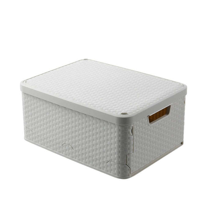 Collapsible Finishing Dormitory Wardrobe Plastic Storage Box with Cover Lip