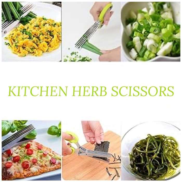 ZS - Kitchen Herb Scissors Blue