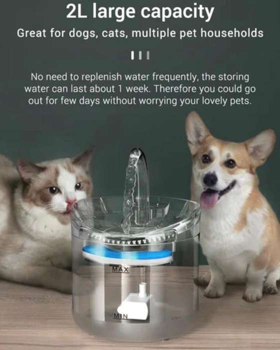 ZS - Pet Water Fountain Transparent