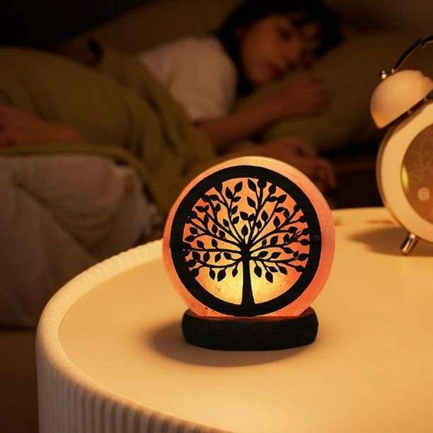 ZS - Himalayan Salt Lamp Type-2