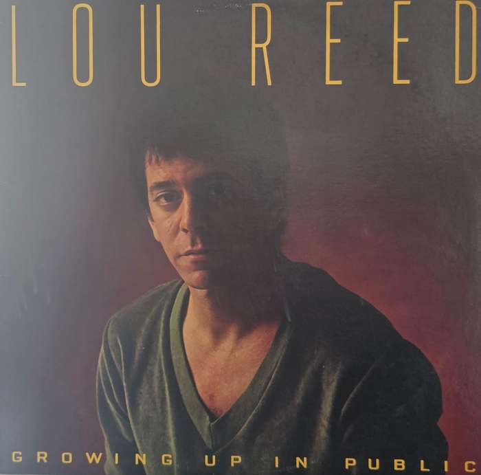 Lou Reed  Growing Up In Public