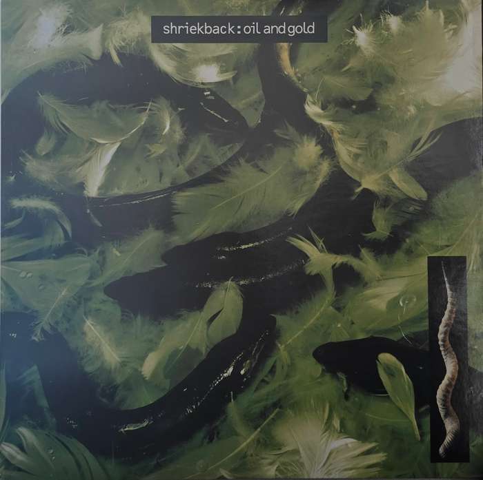 Shriekback  Oil And Gold