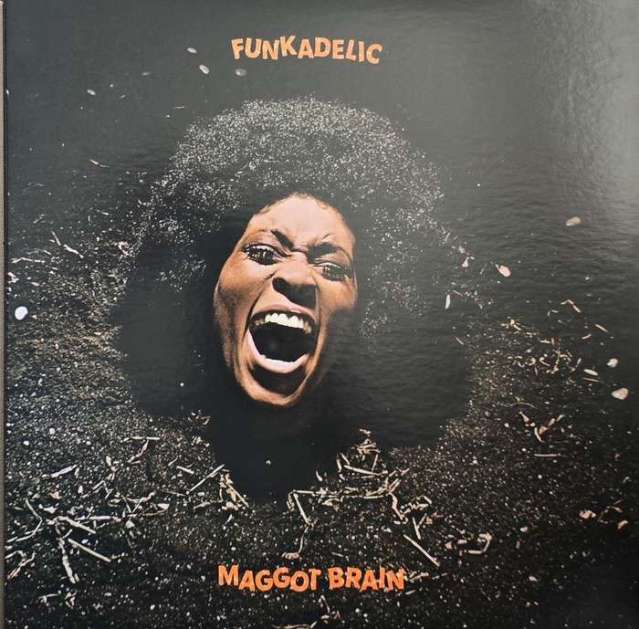 Funkadelic  Maggot Brain