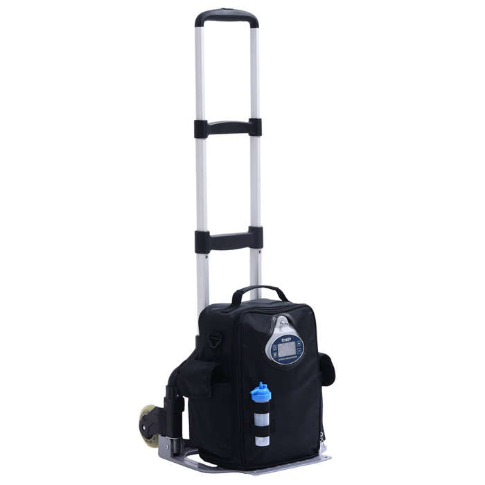 Lovego LG102 Portable Oxygen Concentrator (4.5 Litre)