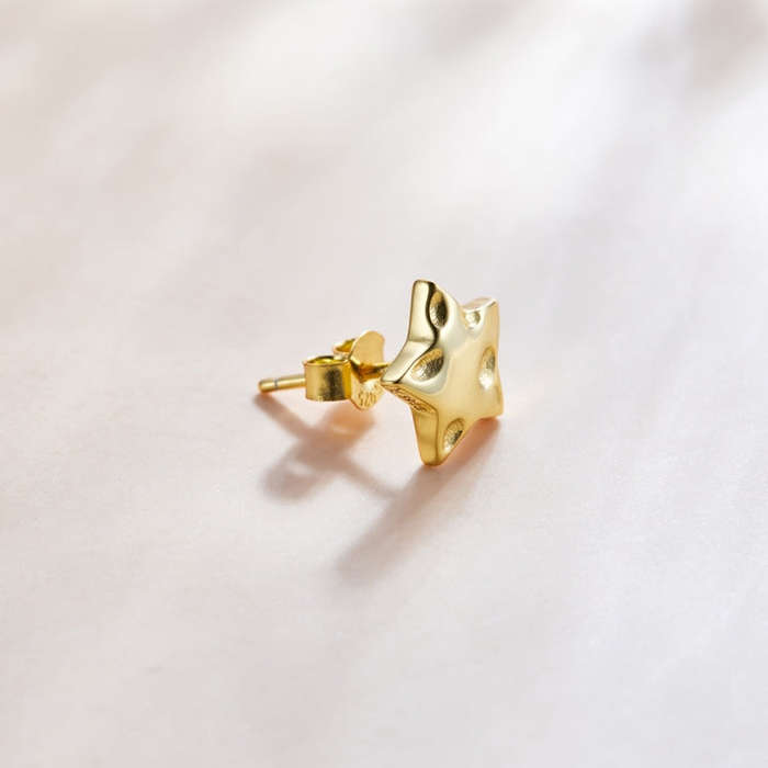S925 Sterling Silver Star Women Earrings