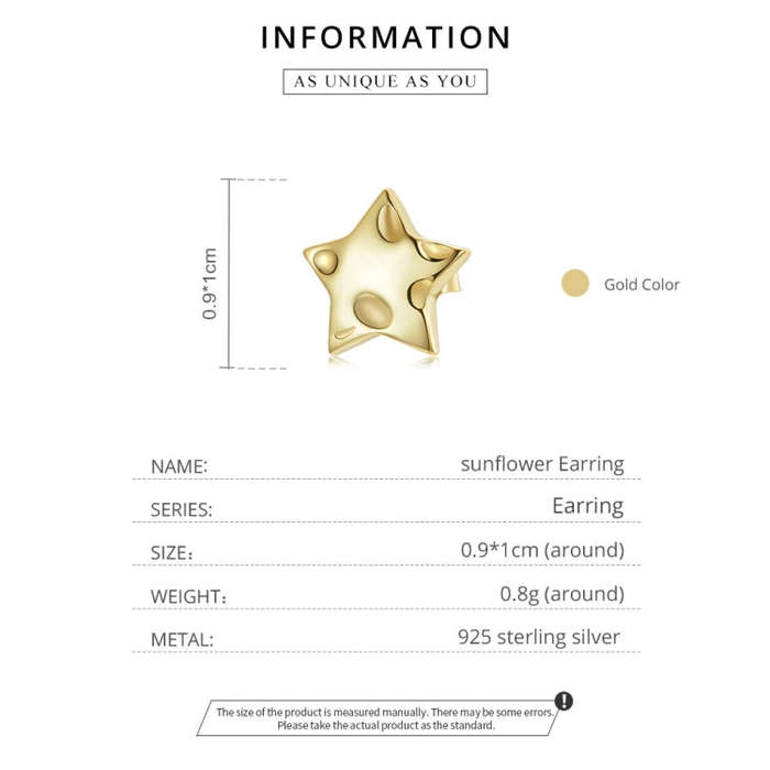 S925 Sterling Silver Star Women Earrings