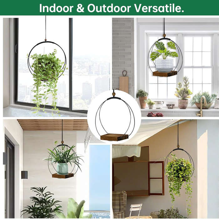 Hanging Planters for Indoor Plants & Windows, Modern Plant Hanger For Home