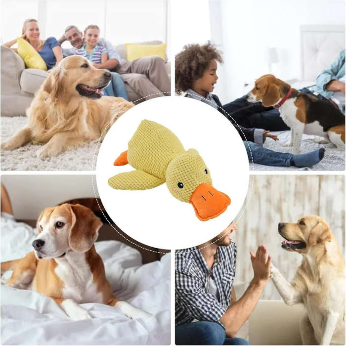 2 Pcs Dog Toy Set  Squeaky Plush Toy & Chewing Calming Toy Training Gift