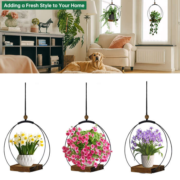 Hanging Planters for Indoor Plants & Windows, Modern Plant Hanger For Home