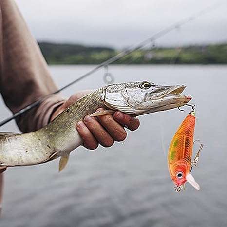 Fishing Advent Calendar  Christmas Fishing Blind Box Bait