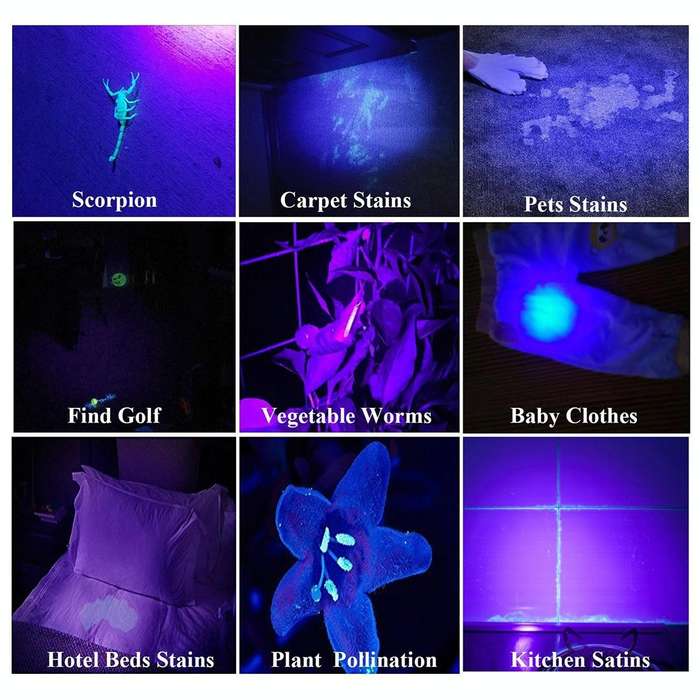 100 LED UV Flashlight Scorpion Detector Fluorescence Detector