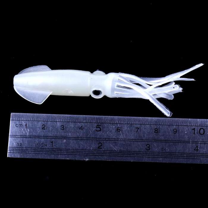HENGJIA 5PCS Luminous Squids Plastic Soft Baits Artificial Fishing Lures Bionic Fishing Bait, Len...
