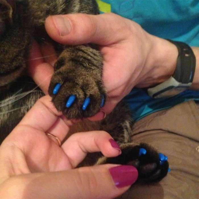 20 PCS Silicone Soft Cat Nail Caps / Cat Paw Claw / Pet Nail Protector/Cat Nail Cover, Size:L(Ros...